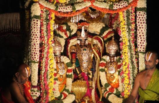 Lord Sri Venkateswara With His Divine Consorts During Brahmotsavams