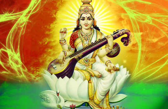 An Amazing Goddess Saraswathi Devi