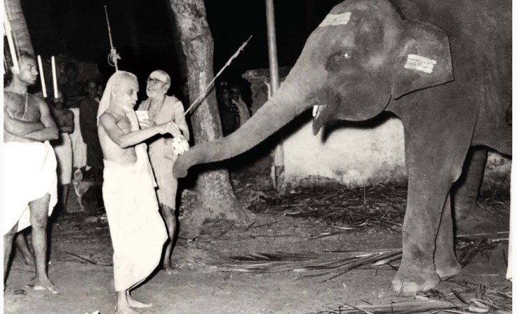 Kanchi Paramacharya With The Temple Elephant
