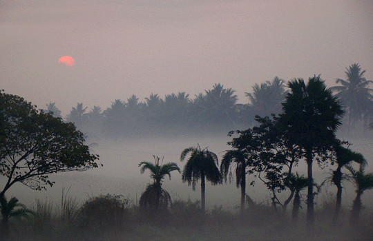 Sunrise In Rajahmundry