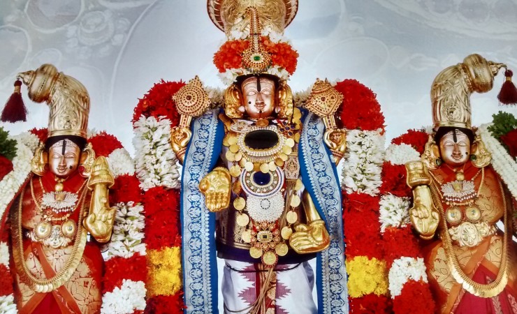 Lord Sri Venkateswara With His Divine Consorts