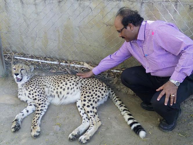Sir With Cheetah