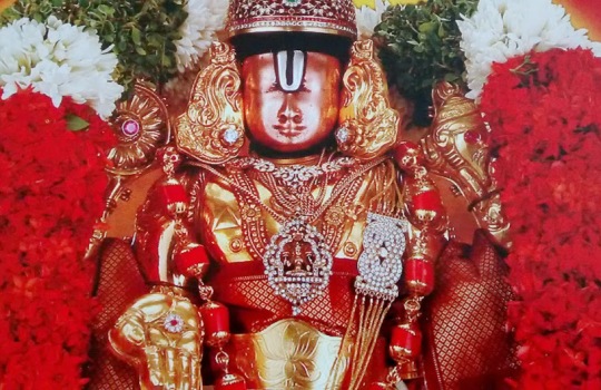 An Amazing Lord Sri Venkateswara In Tirumala Temple