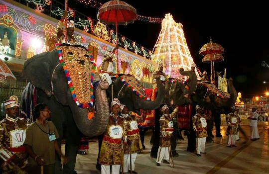 Holy Tirumala Temple Elephants Saluting Their Holy Lord