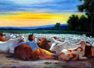 Miraculous Survival Of Two Families That Reveal The Powers Of The Holy Indian Cow