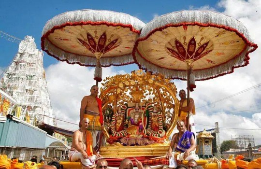 Lord Sri Venkateswara On Kalpa Vriksha Vahanam In Tirumala Brahmotsavams,2014