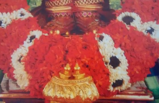 The Holy Lotus Feet Of Lord Sri Venkateswara