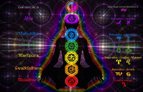 Chakras In Human Body