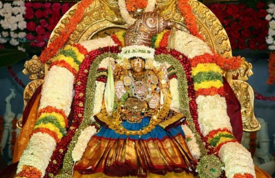 Holy Goddess Kanaka Durga