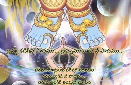 Holy Lotus Feet Of Lord Venkateswara