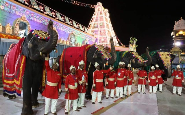 Tirumala Temple Elephants