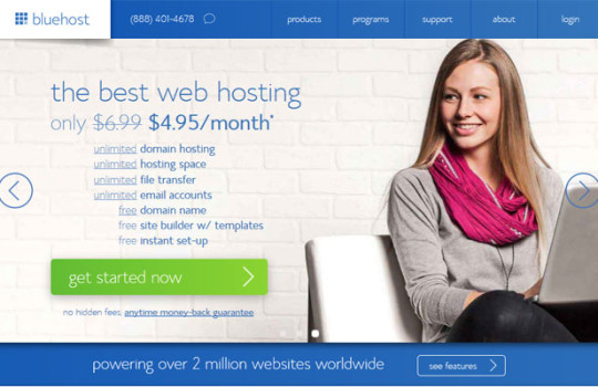 bluehost-review-2014