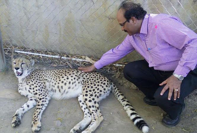 Sir With Cheetah