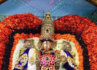 A Dark Night In Bombay,A Divine Mother And An Amazing Cosmic Drama-Conclusion