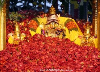 Stunning Features Of Tirumalesa Matrimony-India’s Most Secured Matrimony Site