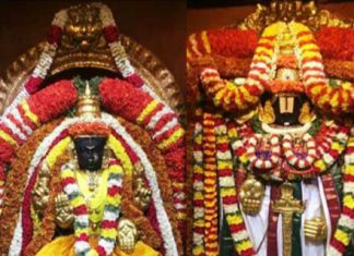 When Homeo Saved TTD Ramana Dikshitulu’s Son From Covid